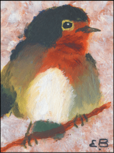 Robin on a branch